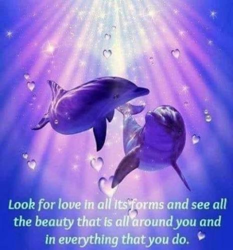 C1EDF704-F40B-40EA-B5F6-676F66A8B995