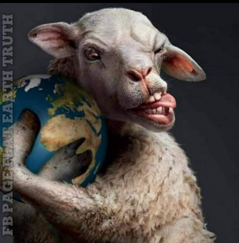 Screenshot_20210719-201406-522