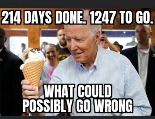 E3D2A160-278C-41EB-B1D4-893616A190E8