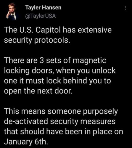 tayler hansen 7138248906y93485782349