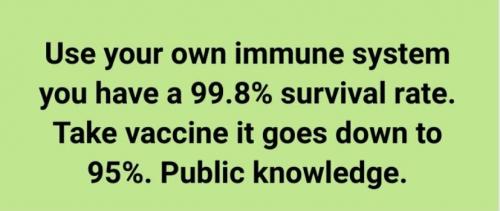 00a242adc74abdef195c67724b90742f_1024