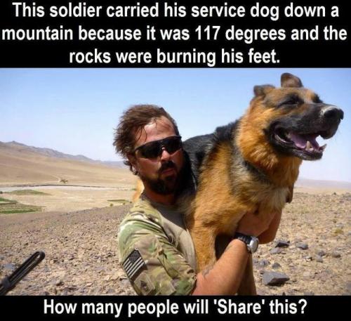 image_1630208645.106