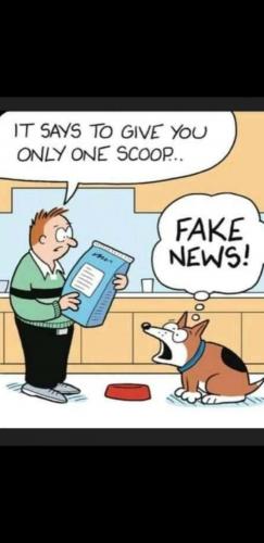 Screenshot_20210829-173411_Gallery