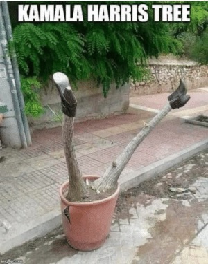 A29E9584-41D6-4FD3-B519-4BC2524AB6C7