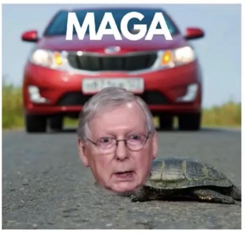 image_1629691553.402