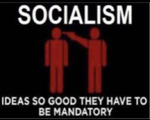 98DE80AA-915D-487C-95E1-A1C42B85806F