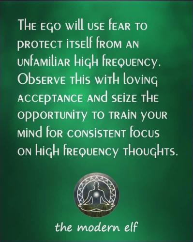 F05E7363-C0FA-465B-9D34-76BC738D41AA