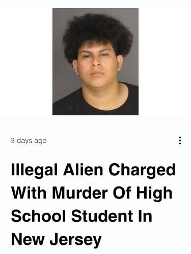 IllegalAlien3