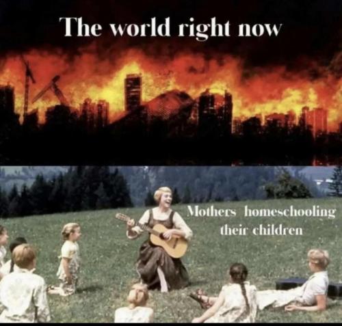 D86B6CEB-2C93-4EC0-821E-2E36DF0589F2