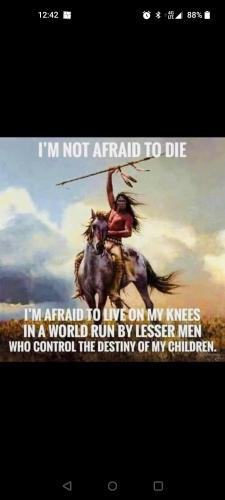 image_1630286037.788