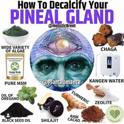 DECALCIFY #PinealGland