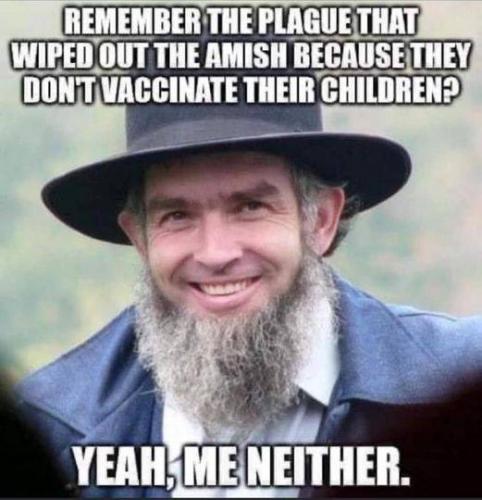 THE AMISH