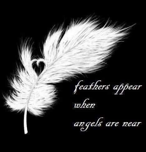 3F934240-49F7-4652-840A-0206381B790B