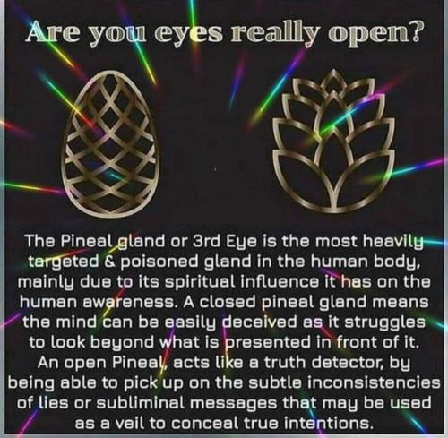 #PinealGland