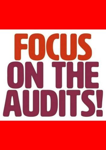 focus on the audits 78123441236974295