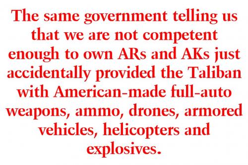 government