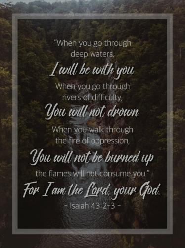 Screenshot_20210820-112259_Samsung Internet