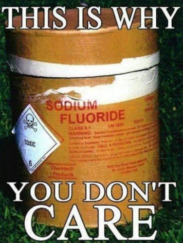 photo_2021-08-26_09-50-36