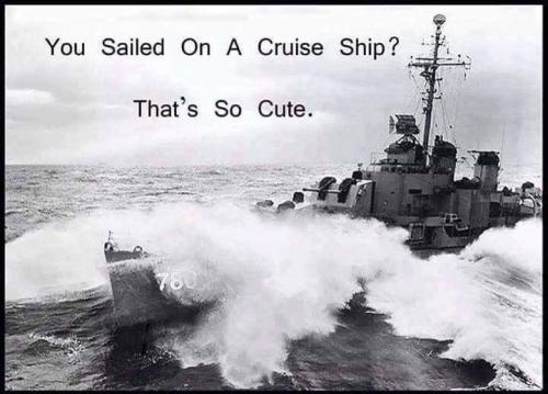 Cruis Ship