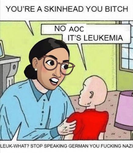 image_1629792266.032