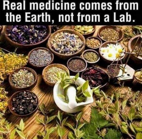 #EarthRemedies TRUMPS #BigPharma