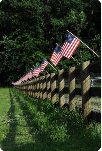 B958DB21-752F-4E1F-B514-B70F02932E75