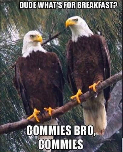 breakfastcommies