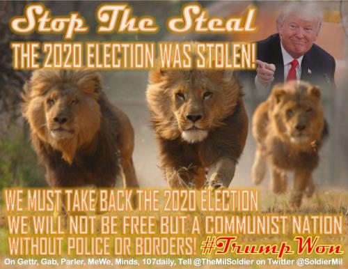 Take back 2020 Lions