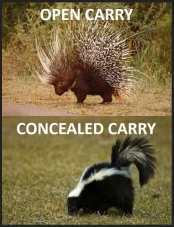 open carry concealed carry 78124319728346329734