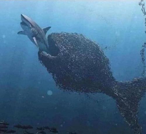 what needs to happen