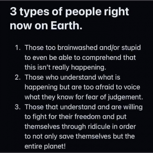 3 types of ppl in America