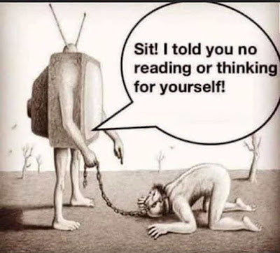 tv-sit-told-you-no-reading-or-thinking-for-yourself