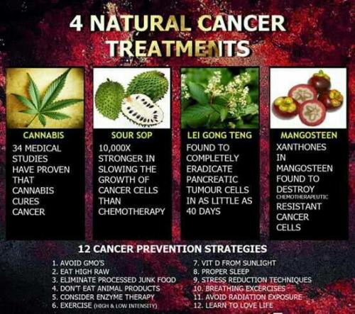 4 NATURAL CANCER TREATMENTS