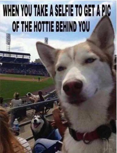 B9A8B4EF-B869-40A0-9B09-9C81DB5B1C88