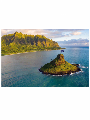 A3638303-6716-4121-88B0-135AA72C7979