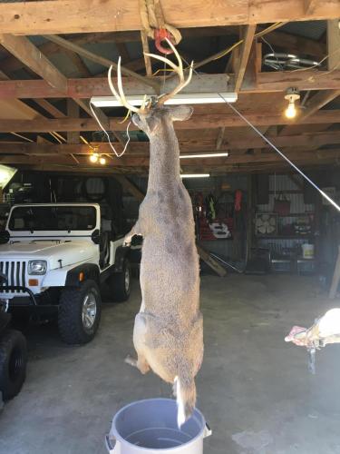 EFA9E97F-9928-432E-A2A9-6225DA65CB46