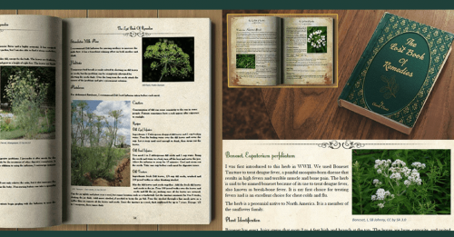 lost book of herbal remedies cure