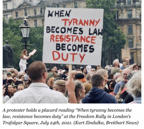 690F2499-C169-48A2-A87C-E55C918CA469