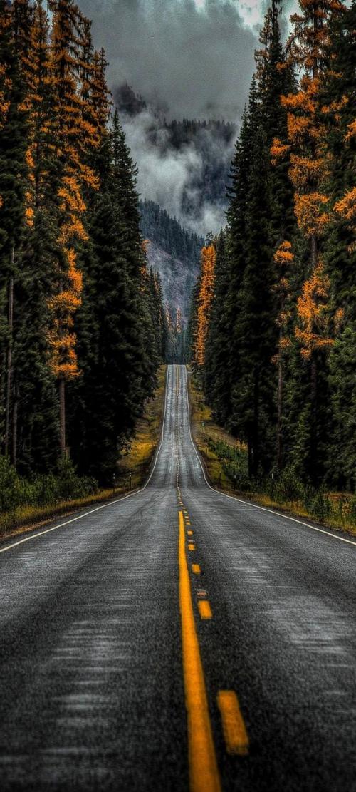 street
