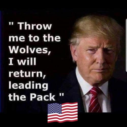 3FB600F4-9E1F-4B1D-8021-FAD1A2F490A0