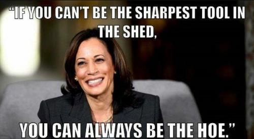 Kamala - the hoe (2)