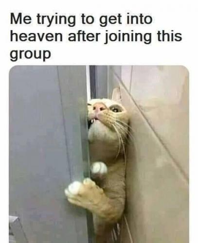 intoheaven