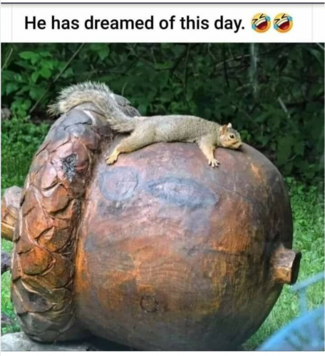 Screenshot_20210729-004407-689