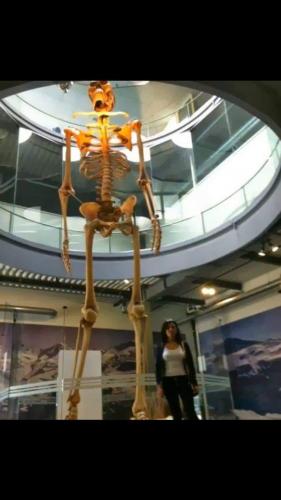 FB_IMG_1627406197317