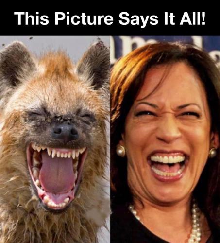 A138B652-E0C2-41CE-83FC-D7E6DDE7A70A