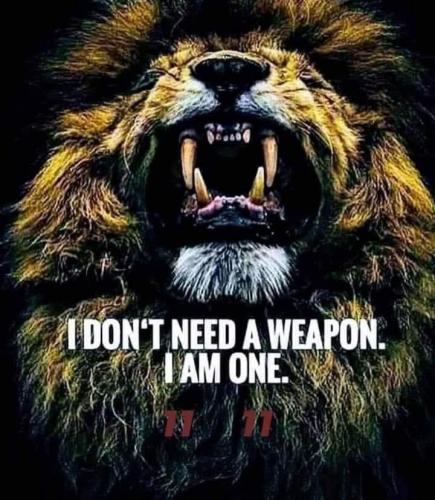 6705F944-B9B9-4629-B2FC-85BF2B119689