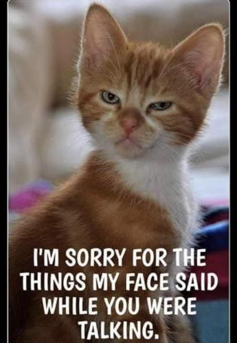 3EE1BC39-BEDB-4293-94A8-553DA05B2382