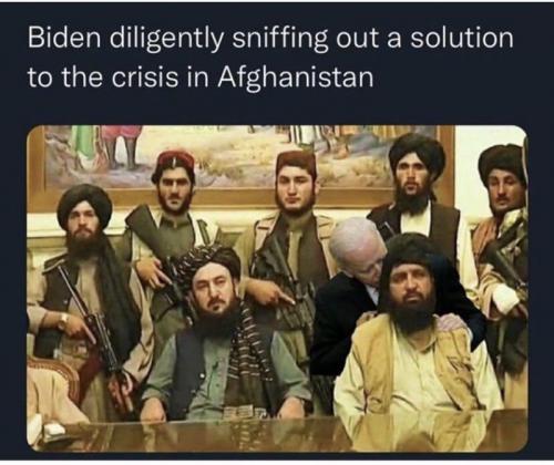 sniffsolution