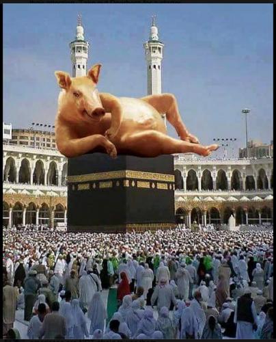 Feed them all Pork