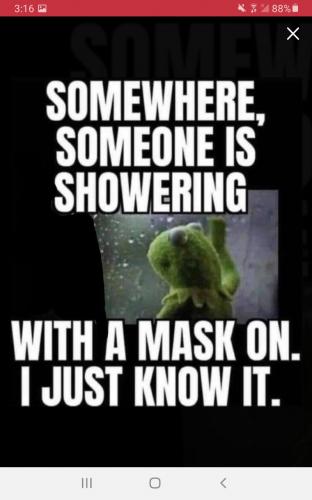 Screenshot_20210821-031603_Parler